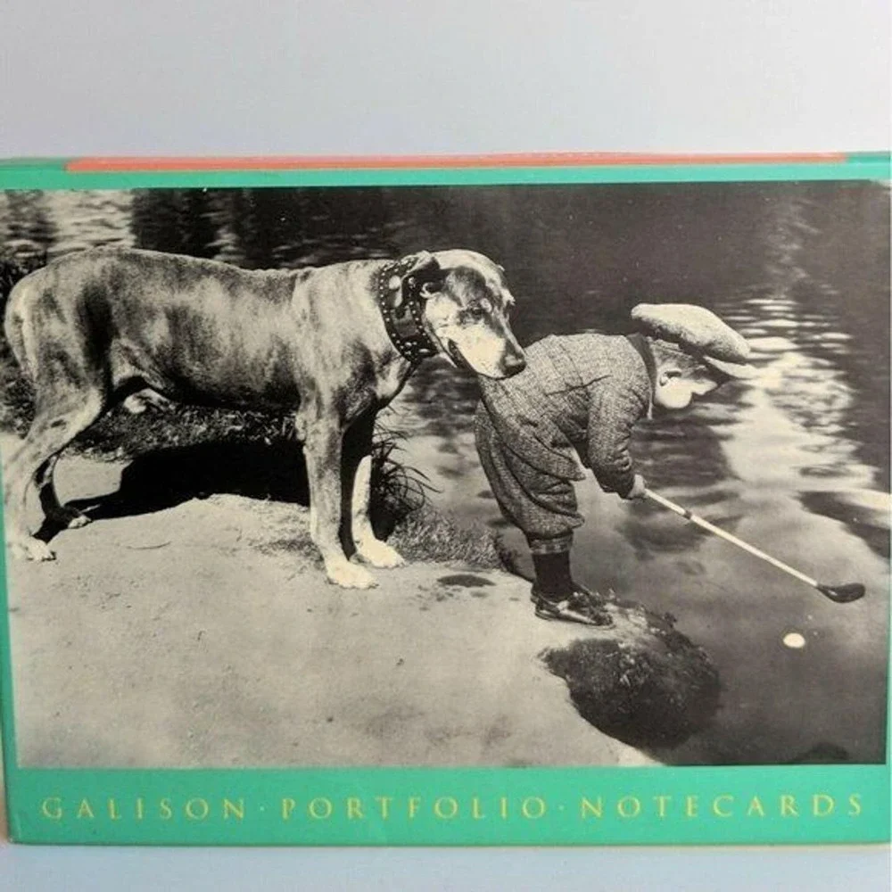 5/$15 2 pkgs Golf Blank Note Cards Vintage B&W Photos Golfers Play Dog Baby